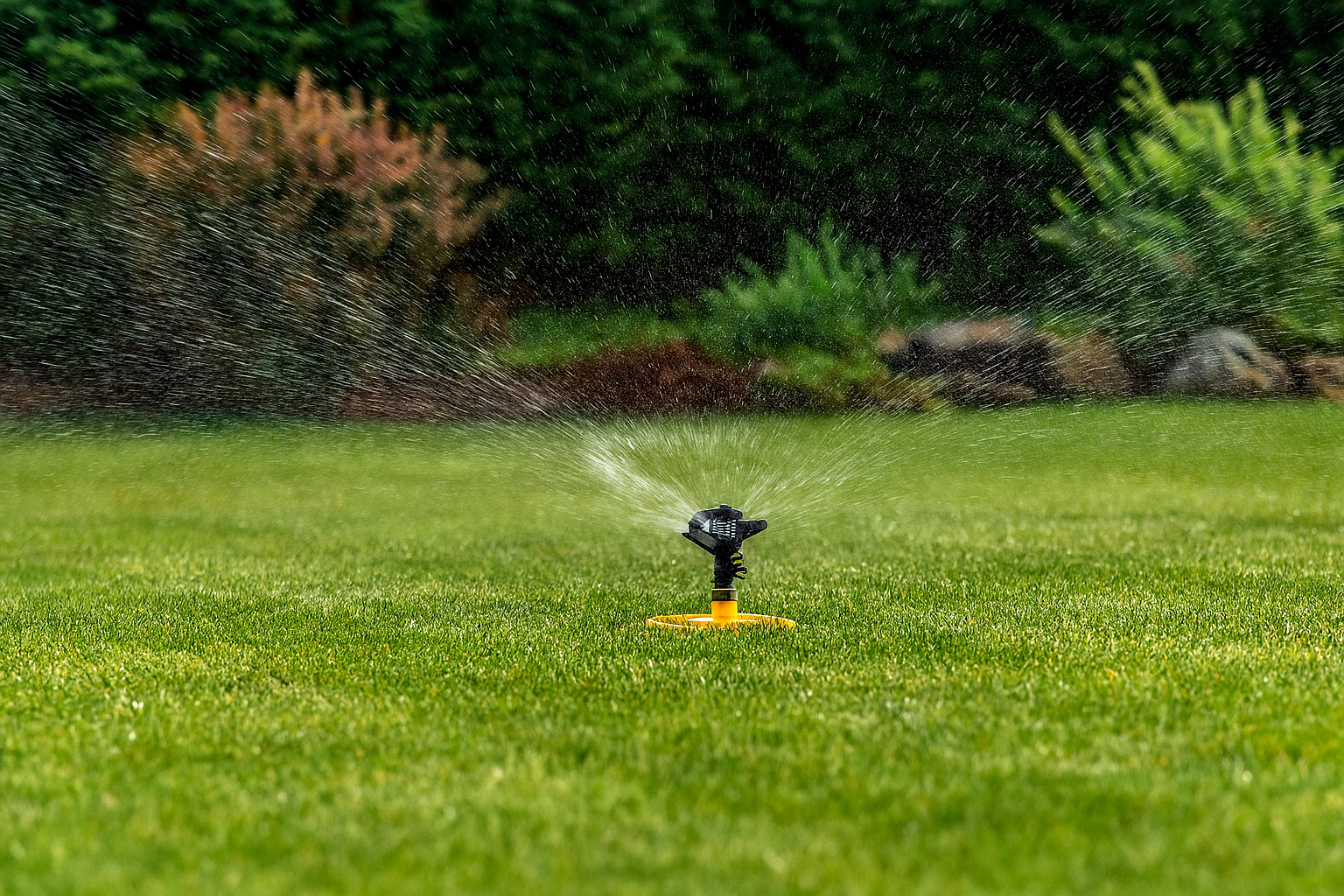 Quand l’urine brûle : réalités de la récupération
