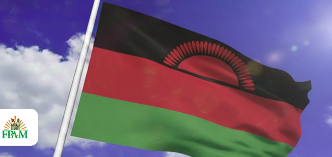 flag-img