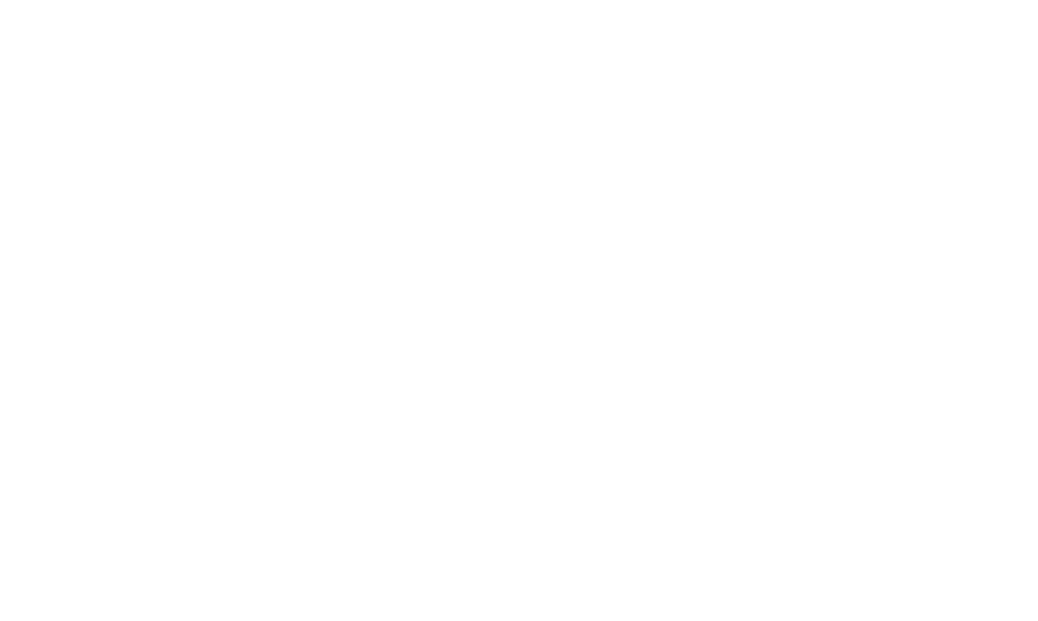 Partner With Spatheory leaf