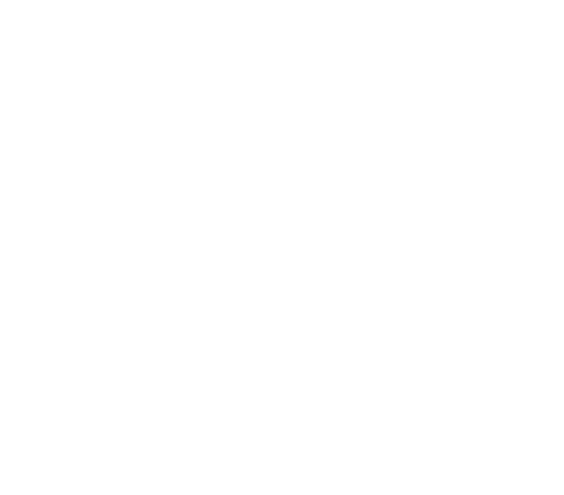 Partner With Spatheory leaf