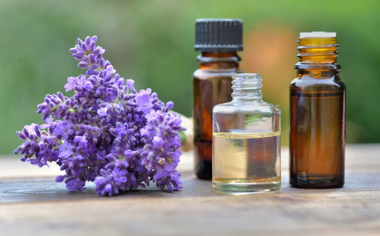 Essential Oils vs. Carrier Oils: Choosing the Right Blend for Massage Therapy - essentialoilsvscarrieroilschoosingtherightblendformassagetherapy 1